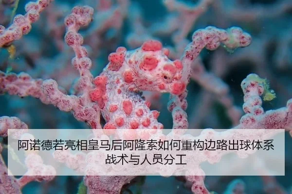 阿诺德若亮相皇马后阿隆索如何重构边路出球体系战术与人员分工