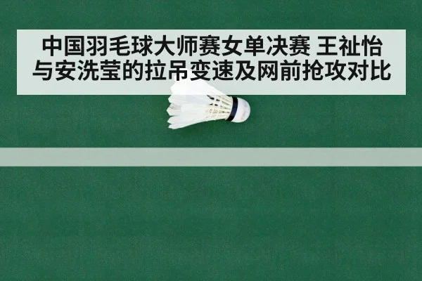 badminton net shot rally